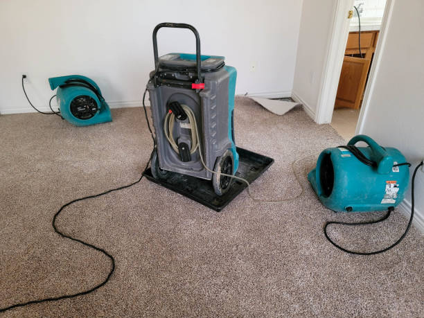 Best Water damage contractors near me  in Crystal City, MO