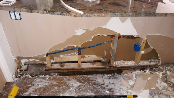 Best Water damage cleanup near me  in Crystal City, MO