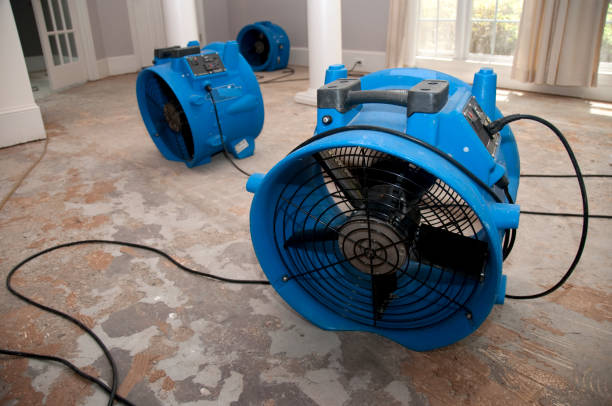 Best 24-hour water damage restoration  in Crystal City, MO