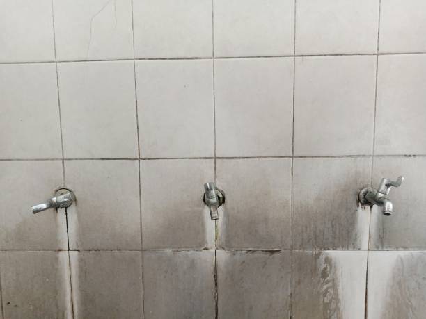 Best 24/7 water damage repair  in Crystal City, MO