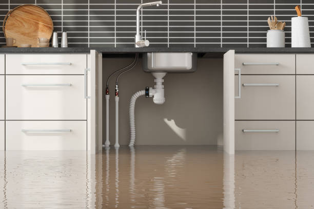 Best Mold removal after water damage  in Crystal City, MO