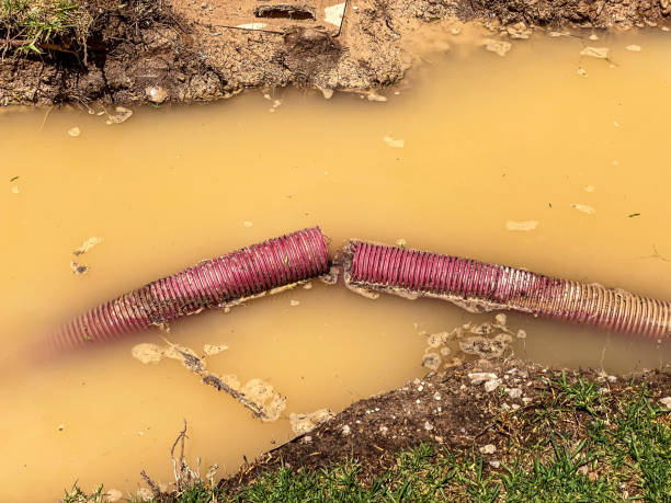 Best Carpet water damage restoration  in Crystal City, MO