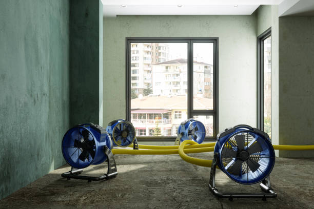 Best Flood damage cleanup  in Crystal City, MO